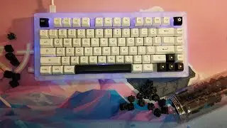 JWK Black Linear (Krytox 205g0/Deskeys films) | TYPING TEST
