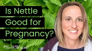 Why Nettle Leaf is Really Good for Pregnancy