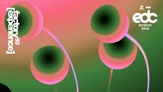 BELTRAN @EDC MEXICO 2025 [NEON GARDEN]