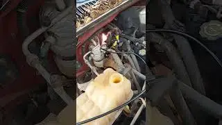 This One Tool Saved Hours of Guessing #borescope #cartips #mechanic