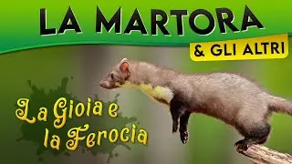 La Martora e gli altri: la gioia e la ferocia ► Puntata 48