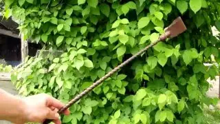 My first riding-crop