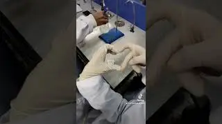 Determination of chloride ion in water