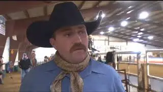 Billings Horse Sale