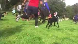 Mucky Pup Fun Run 2017 start