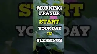 Start Your Day in Blessings | Morning Prayer #dailyprayer #shortprayer #morningprayer
