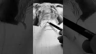 Hyper realistic elephant drawing1 #art #reels #drawing #sketch #painting #artist #artdrawing #shorts