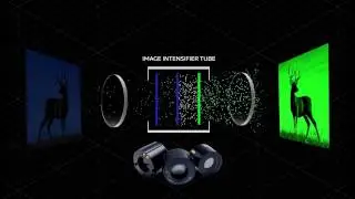How Does Night Vision Work?