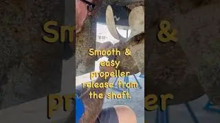Propeller Removal & Shaft Service ⚓ Fort Lauderdale Experts #aboutboatsfl #boatservice #propeller