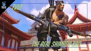 TviQ as the Real Shimada bro