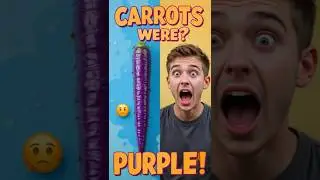 Were Carrots Originally PURPLE? #didyouknow #carrot #funfacts #foodfacts