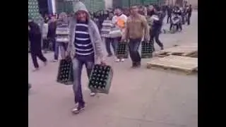 la biere a elkseur