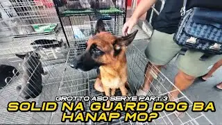 UPDATE SA GROTTO PET MARKET | GROTTO ASO SERYE PART 3 | DECEMBER 28, 2025