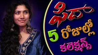 Fidaa - Fidaa 5 Days Collections | Fida 5nd day | 5nd day box office collections | Maxi Maxwell