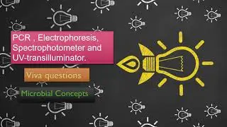 Viva questions on PCR, Spectro, Electrophoresis, UV Transilluminator | MSc practical series