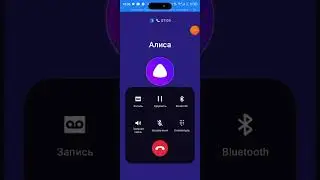 Мне позвонила Алиса ￼