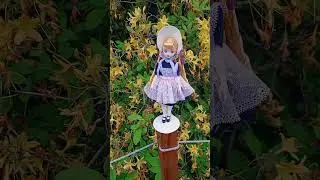 Прощаемся с цветами #flowers #summer #vintage #retro #винтажныйстиль #винтаж #lolita #lolita_fashion