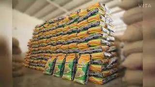 Sortex Clean Cumin Seeds, Fennel Seeds, Ajwain Seed, Sesame Seed, Mustard Seed, Fenugreek Seeds, 
