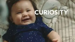 Cultivating Curiosity