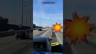 Insurance SCAM go wrong. 😈