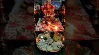 #sssb #ammukuttisriyt  🙏🌺🙏 om sri ganeshayya namaha #godvideo