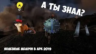 А ТЫ ЗНАЛ? | ФИШКИ В АРК 2019 | ARK TIPS 2019
