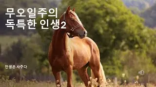 무오일주, 거침없이 펼쳐지는 운명의 서사!!!!