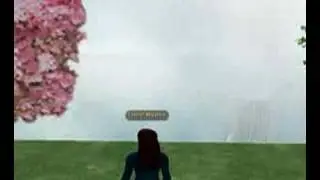 Education in Second Life: Explore the Possibilities