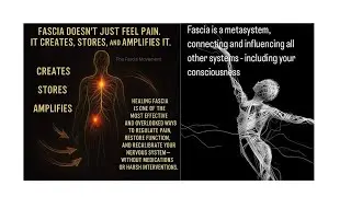 Yin Yoga: Fascia tissue: Deep Release, Interconnectedness, Softening, spine, hips, nervous system