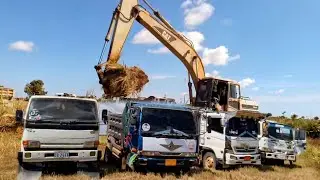 Excavator Clearing Rice Field to Build an Access Road for Excavation
