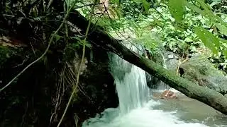 Midnight River Flow: Calming Water for Better Sleep - WATER SOUNDS