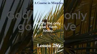 ACIM Daily Lesson 256 #acim #acourseinmiracles #meditate #meditation #acimmeditation #acimworkbook