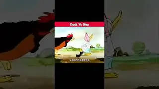 Duck Vs Hen