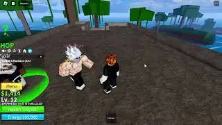Noob To Pro in BLOX FRUITS  (Part 1)