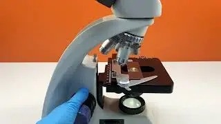 Would you still drink beer after seeing it magnified 400 times?