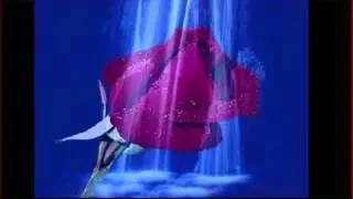 Renacimiento 74 Ella es.wmv