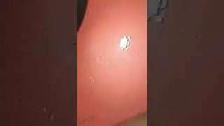 mi note 4 charging jack change 💯