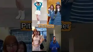 pitbull terrier 🐶💪 #shorts #edit #youtubeshorts #dance #reels #pitbullterrier #trending #viral