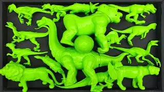 🔴Membersihkan T.rex, Triceratops, Brachiosaurus, Stegosaurus,Ankylosaurus, Velociraptor, Timetrodon