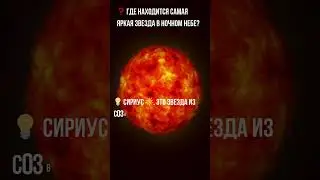 💡 Сириус 🌟  Это звезда из созвездия Большого Пса, видимая даже в городах