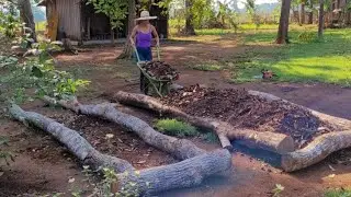 CANTEIRO COM TRONCOS DE ÁRVORES | COMEÇANDO MINHA HORTA
