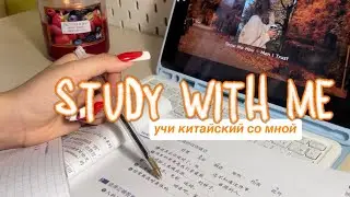 study with me | 30 min, real time, study chinese | motivation to study | учи китайский со мной