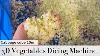 High-capacity 3D dicers turn raw vegetables into uniform cubes fast, boosting speed and efficiency
