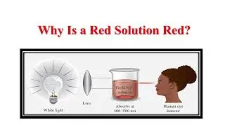 &ldquo;The Science Behind Colour &mdash; EXPLAINED!&rdquo; Why Is Red Solution Red I Complementary Colour I