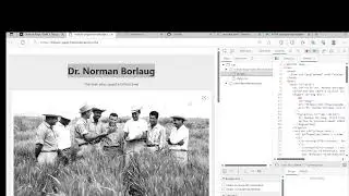 Tribute page (Free code camp project)