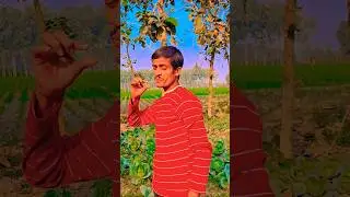 Dard dil ke#💔 sad song#love # viral song#funnyclips #