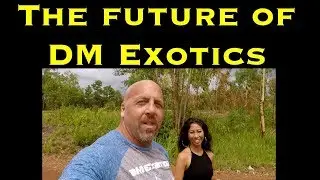 THE FUTURE OF DM EXOTICS