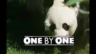 One by One - Series Two - Episode One - Blood, Toil, Tears and Spit