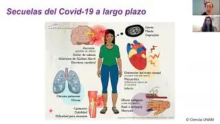 COVID-19 y las mujeres futbolistas