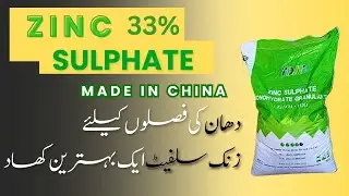 Zinc Sulphate 33% Best product for growing rice 🌾 | Malik Hassan Agriculture